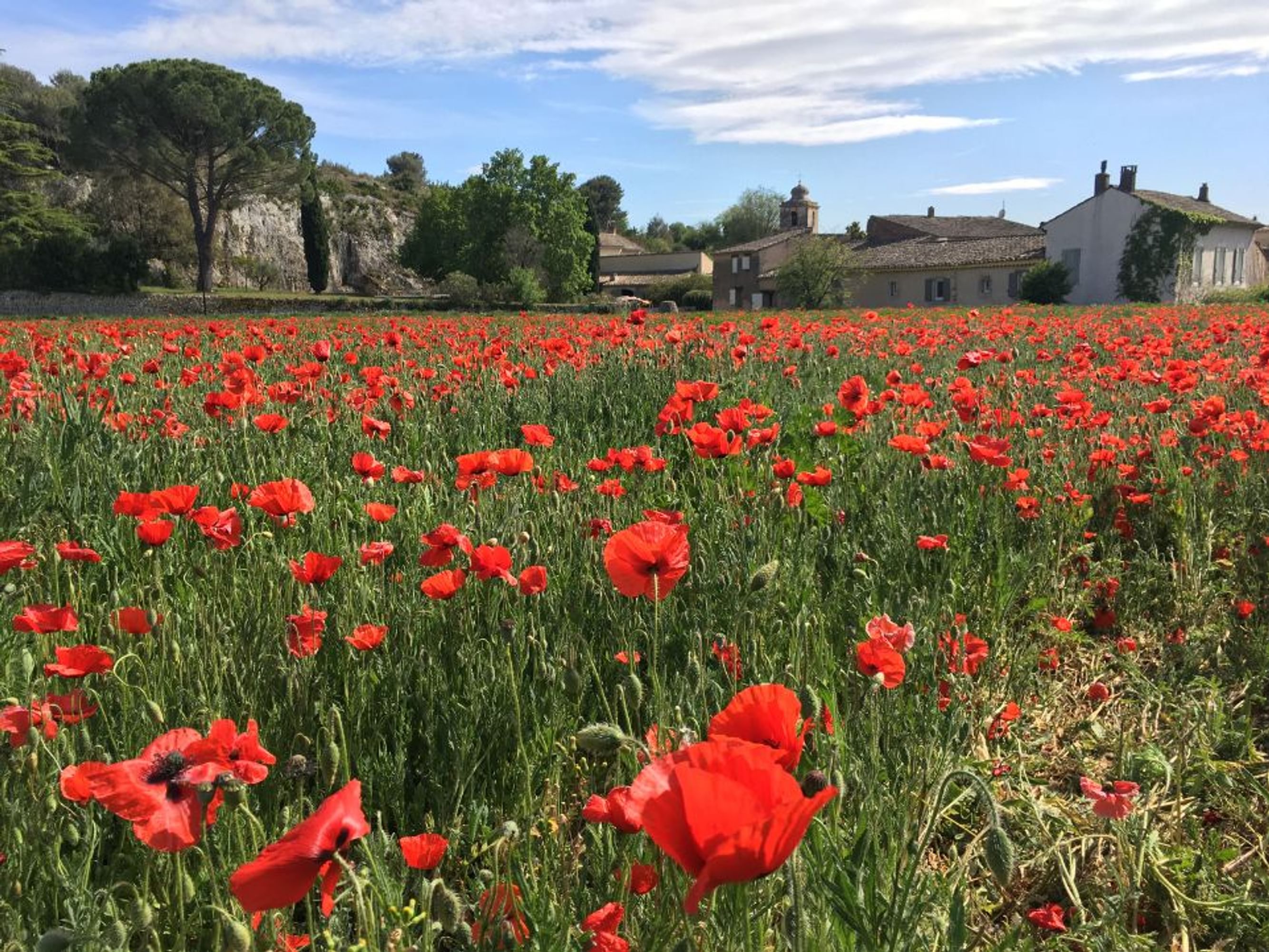 Image De la Provence au Luberon