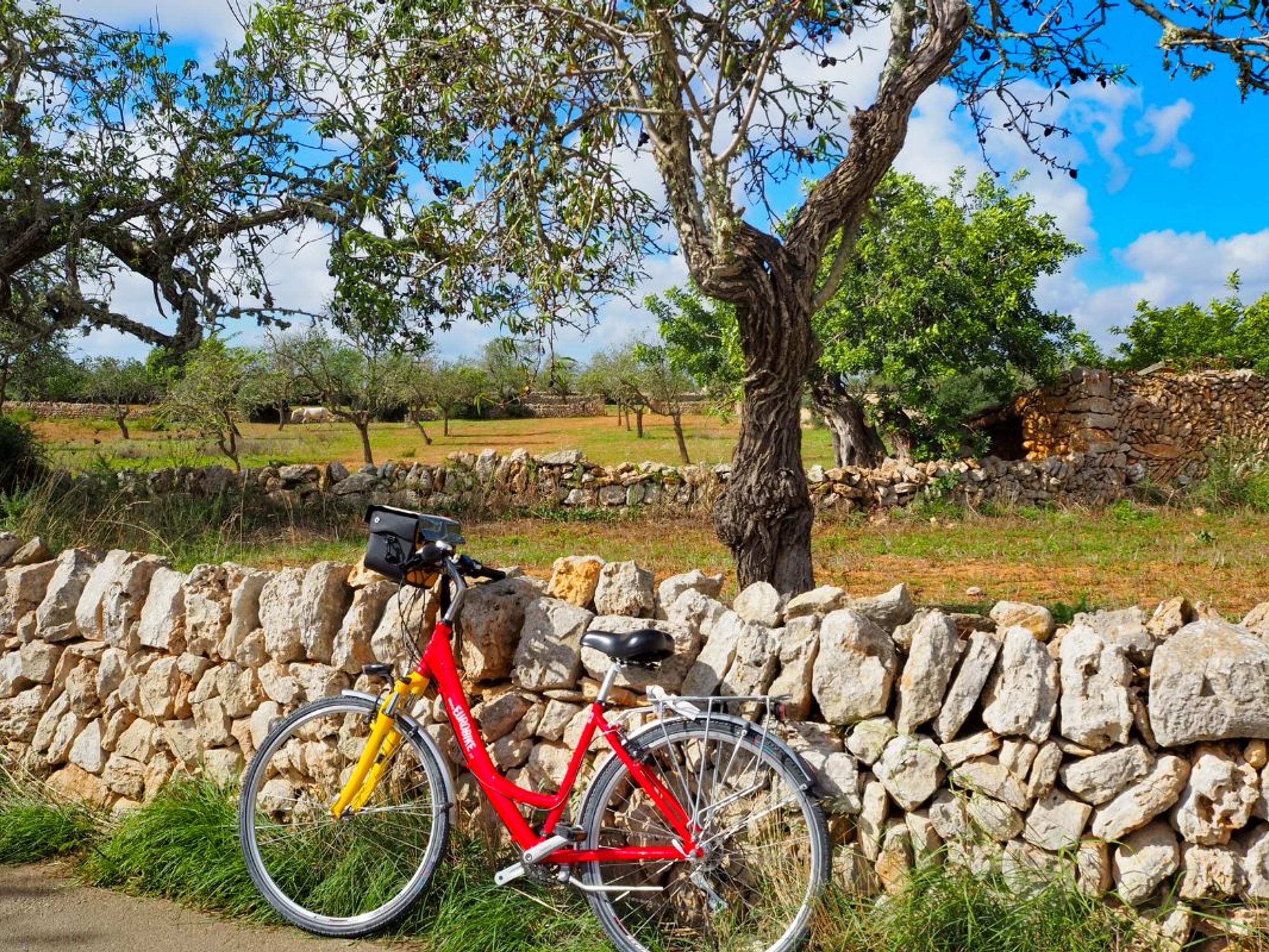 Image Majorque Finca, séjour de charme à vélo