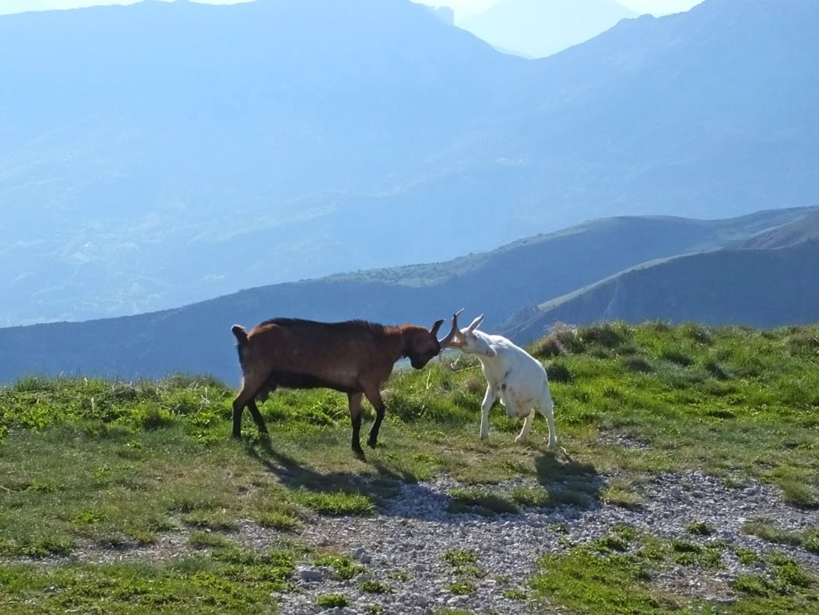 Image Les gorges du Verdon à pied et en étoile