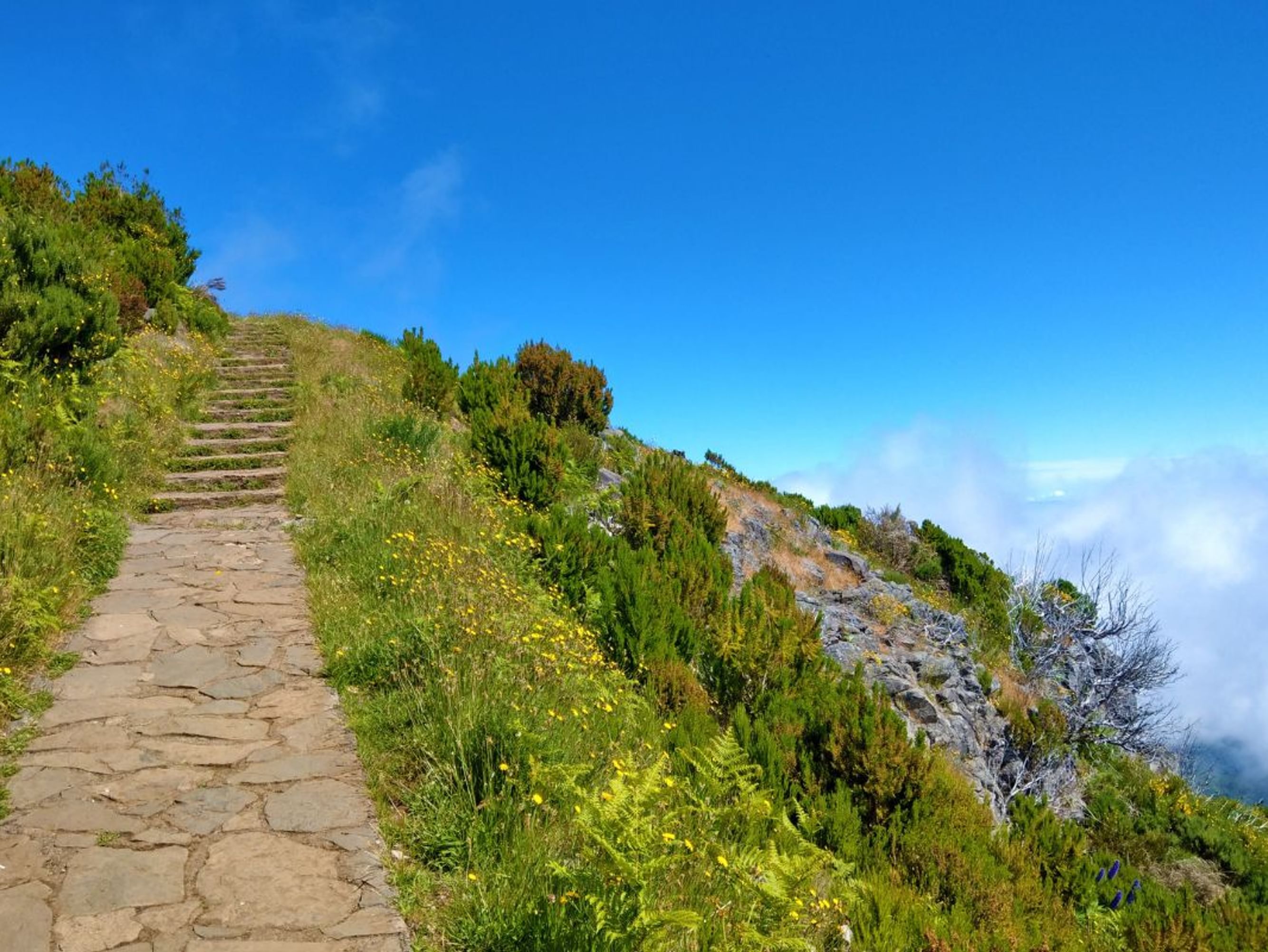 Image Randonnée de montagne à Madère