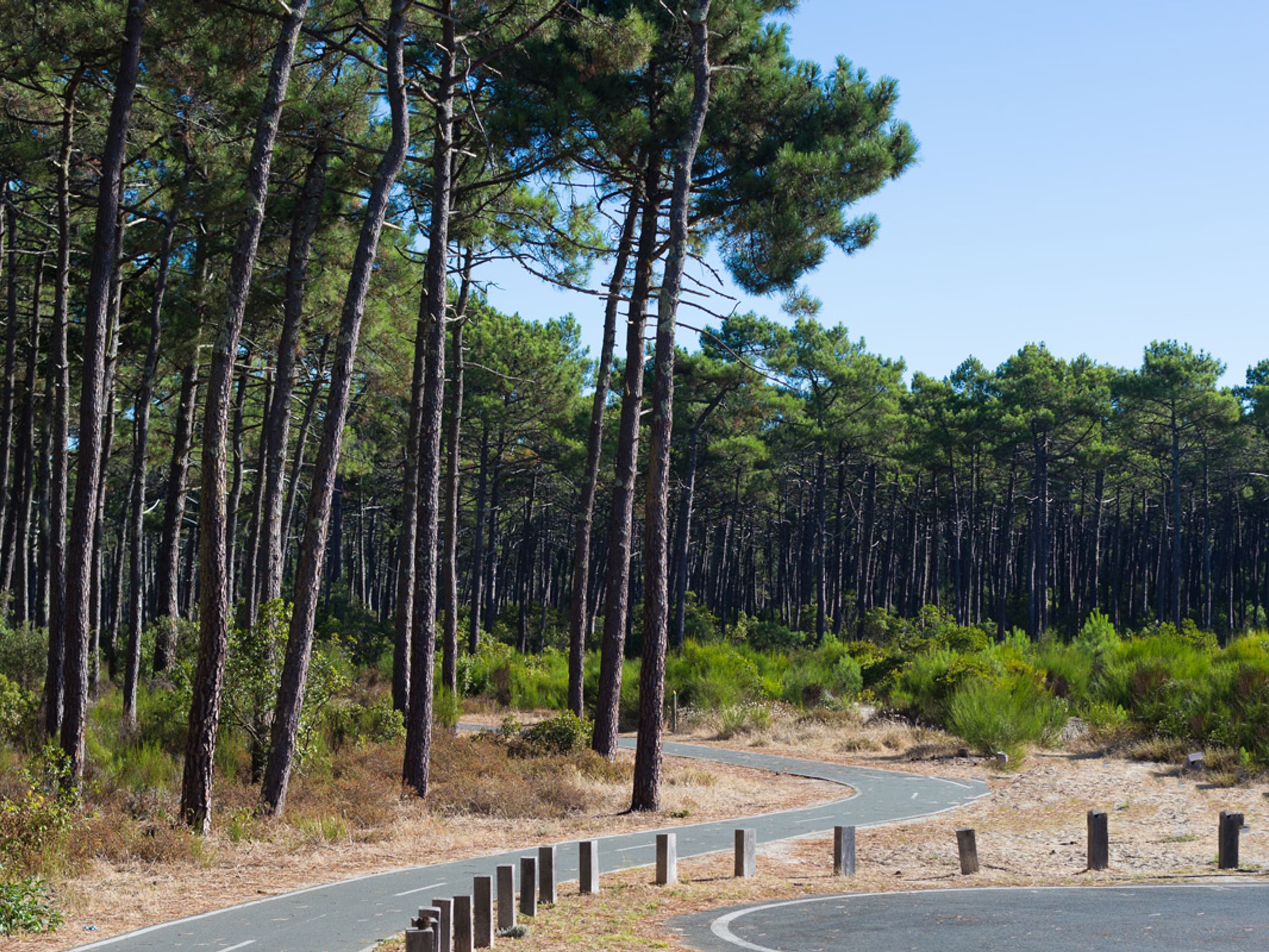 Image Le Tour du Médoc à vélo
