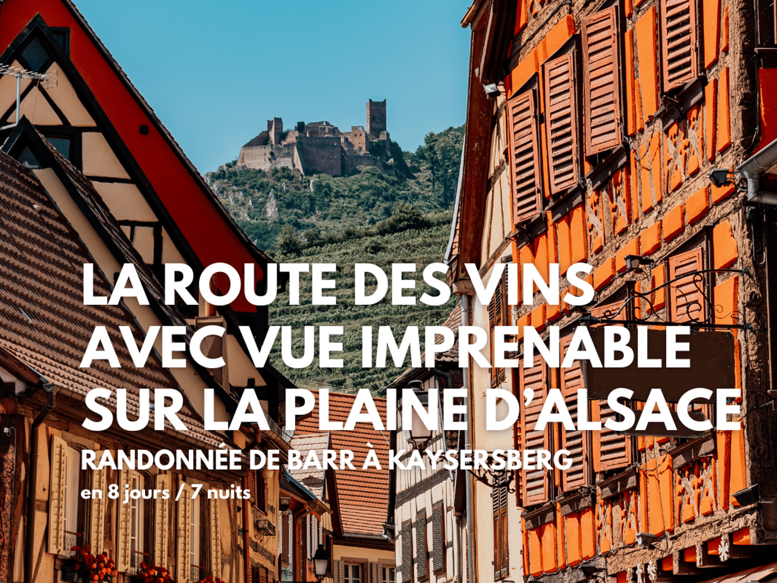 Image La Route des Vins avec vue imprenable sur la plaine d'Alsace de Barr à Kaysersberg