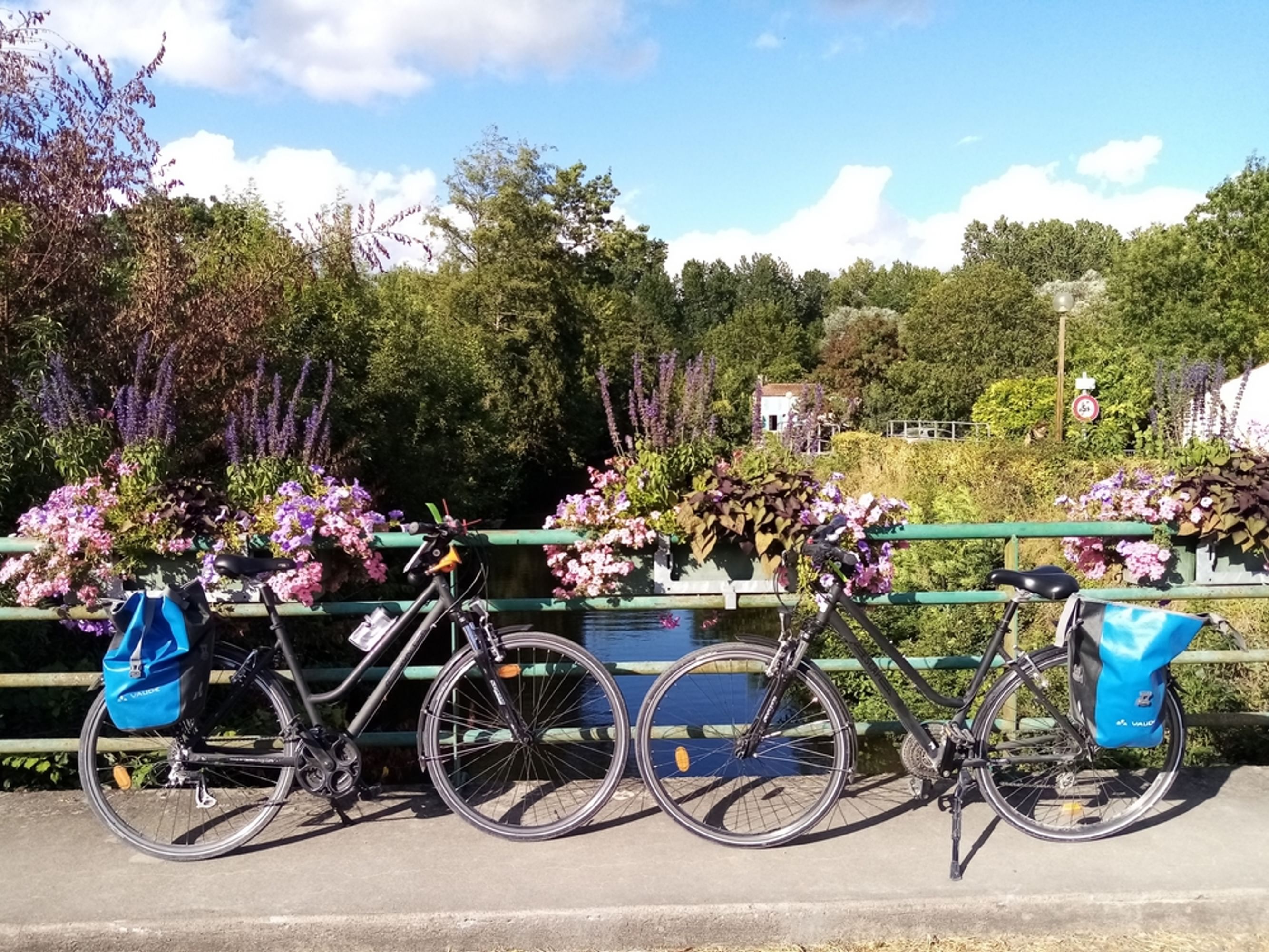 Image Le Marais Poitevin à vélo en étoile