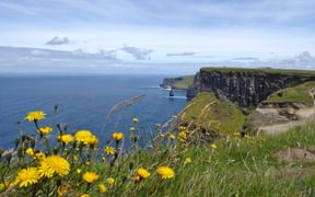 Cliffs of Moher