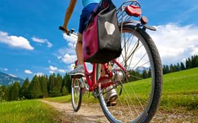 Cyclotouriste sur un chemin de montagne