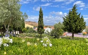 Vue d'un jardin verdoyant et fleuri à Vila Real au Portugal