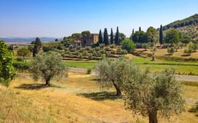 Paysage typique de Toscane