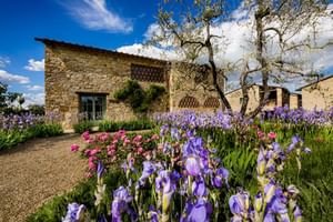 Borgo del Cabreo, Greve in Chianti