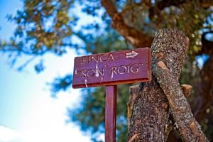 Finca Son Roig