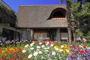 Hôtel Albergo 4*, Losone