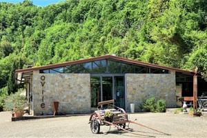 Bâtiment moderne en pierre avec façade vitrée au Le Valli Agriturismo à Casciana Terme. Chariot en bois traditionnel dans la cour, entouré de collines.