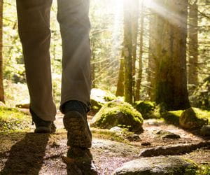 randonneur marchant au soleil couchant dans une forêt