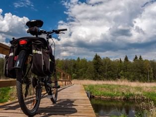 Vélo de randonnée garé sur un ponton face à une forêt
