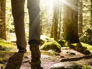 randonneur marchant au soleil couchant dans une forêt
