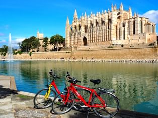 Vélos garés devant la cathédrale de Palma, Majorque