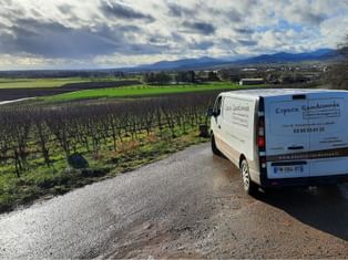En reconnaissance dans le vignoble alsacien