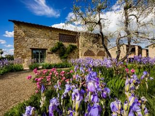 Borgo del Cabreo, Greve in Chianti