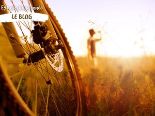 Cycliste buvant en arrière plan de son vélo, dans un champ baigné de soleil