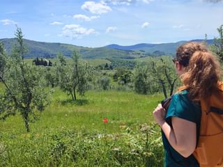 Randonner dans la Toscane pittoresque, un récit de voyage