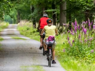 couple de cycliste qui font du vélo sur l'un des plus beaux circuits en 2025