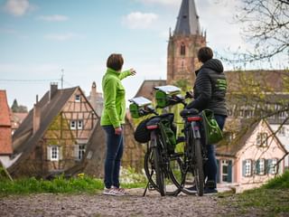 header-circuit-brassicole-velo-alsace