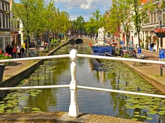 Canal hollandais avec nénuphars, garde-corps blancs et pont de pierre. Bâtiments historiques bordent les deux côtés avec promeneurs et bateaux.
