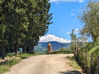 Entrée d'un domaine viticole dans les environs de Greve in Chianti
