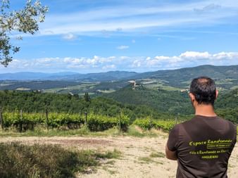 Environs de Greve in Chianti