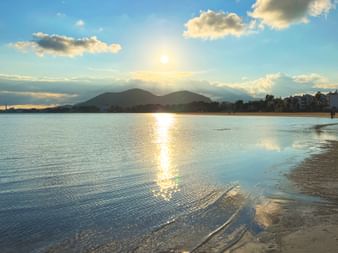 Plage d'Alcudia, Majorque