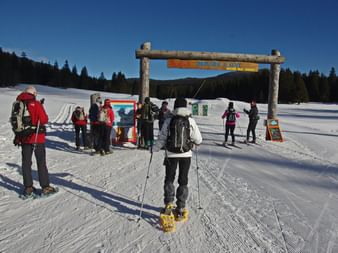 Plateau de Gève à Autrans Plateau de Gève à Autrans