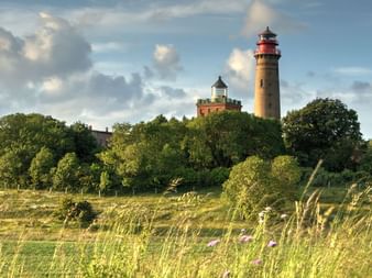 Phare historique à rayures rouges et blanches sur l'île de Rügen, entouré d'arbres verts et d'un pré fleuri sous un ciel nuageux.