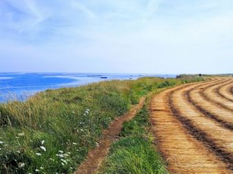 Chemin près d'Arromanches