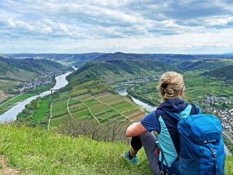 Moselsteig