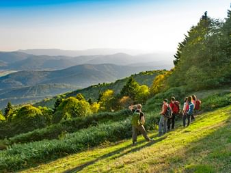 Groupe d'amis en randonnée, admirant une vue splendide sur les Vosges