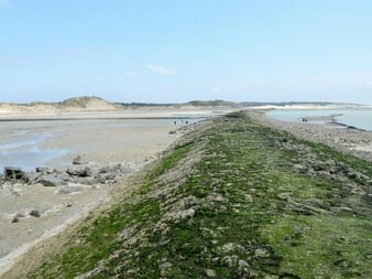 Brise-lames en pierre couvert d'algues vertes s'étendant sur l'estran de la Baie de Somme. Plages de sable et dunes sous ciel bleu.