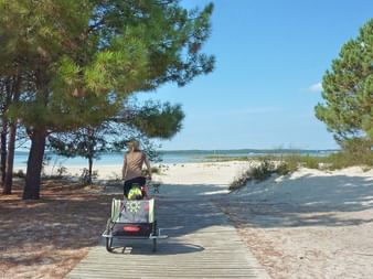 a vélo dans la pinède