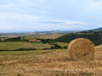 Entre San Gimignano et Volterra, dans les environs de Prato d'Era