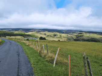 Route de campagne sinueuse le long de collines verdoyantes sur le chemin de Stevenson en France, avec pâturages clôturés et ciel nuageux.