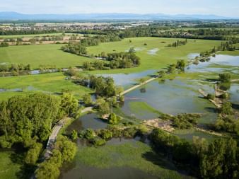Vue aérienne du Ried alsacien Vue aérienne du Ried alsacien montrant des prairies inondées, étangs et cours d'eau entourés de champs verts et forêts avec montagnes.
