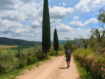 Sentier dans les environs de Panzano