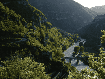 Vue aérienne de la vallée des Gorges du Tarn avec une rivière serpentant à travers des falaises boisées escarpées. Un pont en pierre traverse la rivière.
