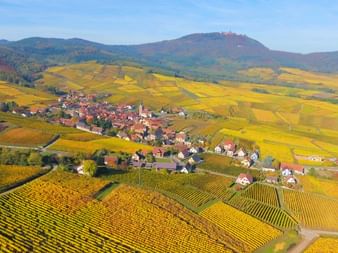 Découvrir l'Alsace à vélo et en famille Vue sur la plaine d'Alsace et le Haut-Koenigsbourg
