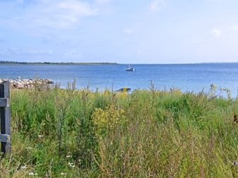 Paysage côtier de Fionie avec hautes herbes, clôture en bois, rivage rocheux et mer bleue. Un petit bateau est visible au loin.