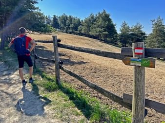 Entre Treiso et Cravanzana, sentier de randonnée dans les environs d'Alta Langa