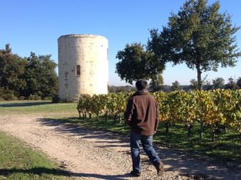 Homme marchant dans le vignoble du Médoc