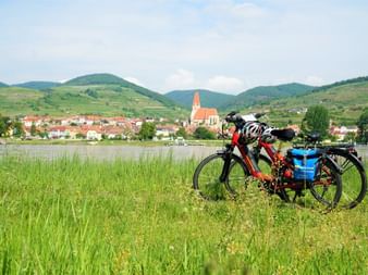 Vélos devant le Danube