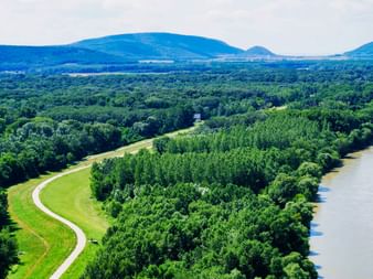 Vue aérienne de la piste cyclable du Danube en Slovaquie serpentant à travers une forêt verdoyante le long du fleuve, avec des collines.