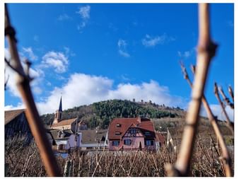 hiver-circuit-alsace-maintenance-jour-cinq-eguisheim