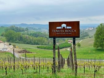Tenuta Rocca