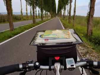 Guidon de vélo avec carte cycliste dans étui protecteur sur route bordée d'arbres près du lac de Constance. Écran numérique et sonnette visibles.